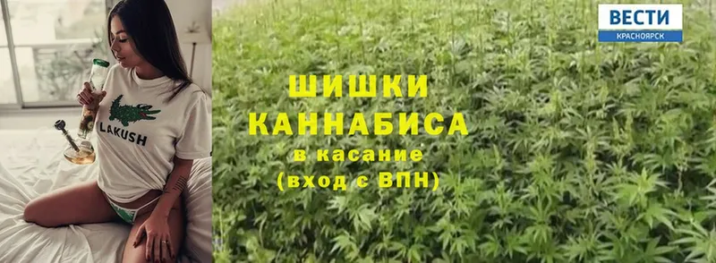 Канабис индика  Абаза 